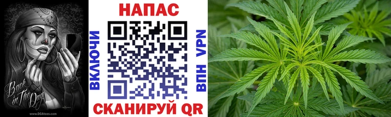 Как найти закладки Мглин МАРИХУАНА  Псилоцибиновые грибы  Меф  APVP 