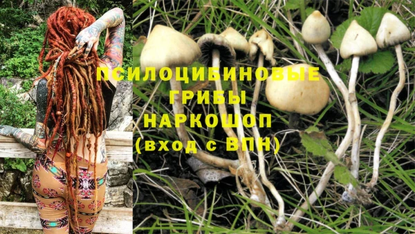 экстази Белокуриха