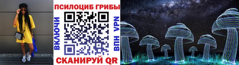 Псилоцибиновые грибы мицелий Мглин